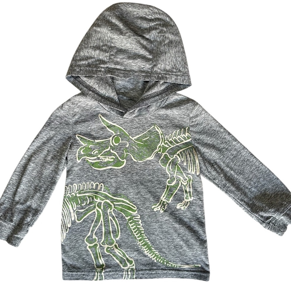 Carter’s Boys Dinosaur Hooded Long Sleeve Tee Shirt 2T